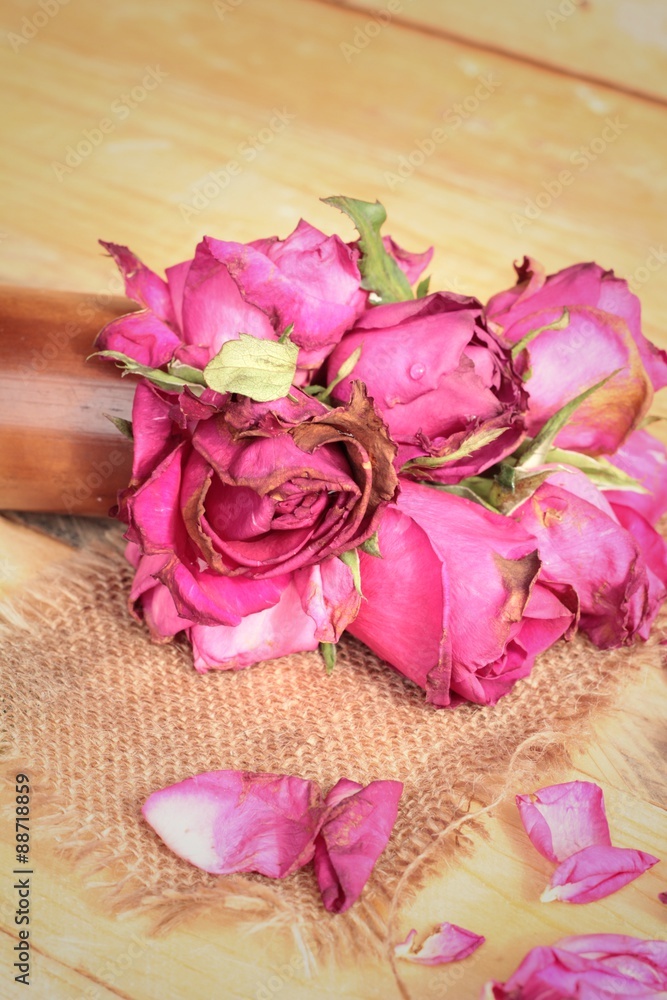 Pink roses and rose petals were sprinkled fallen. Pink roses and rose petals were sprinkled fallen.