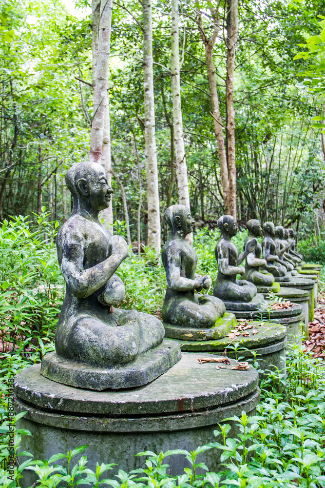 Obraz premium Buddha images