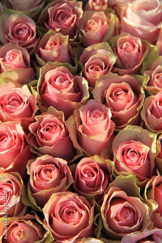 Pink roses in a bridal arrangement