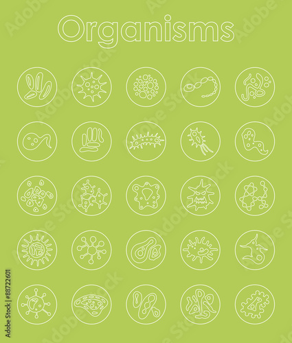Set of organisms simple icons