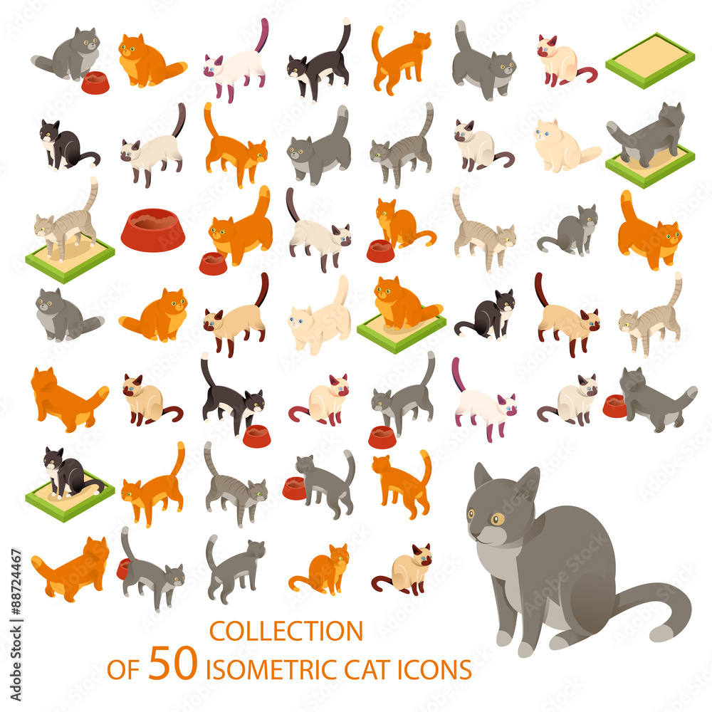 Cat cions Cat cions