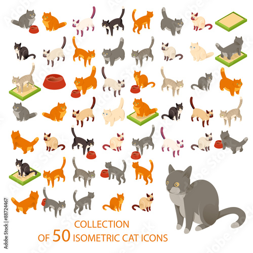 Cat cions