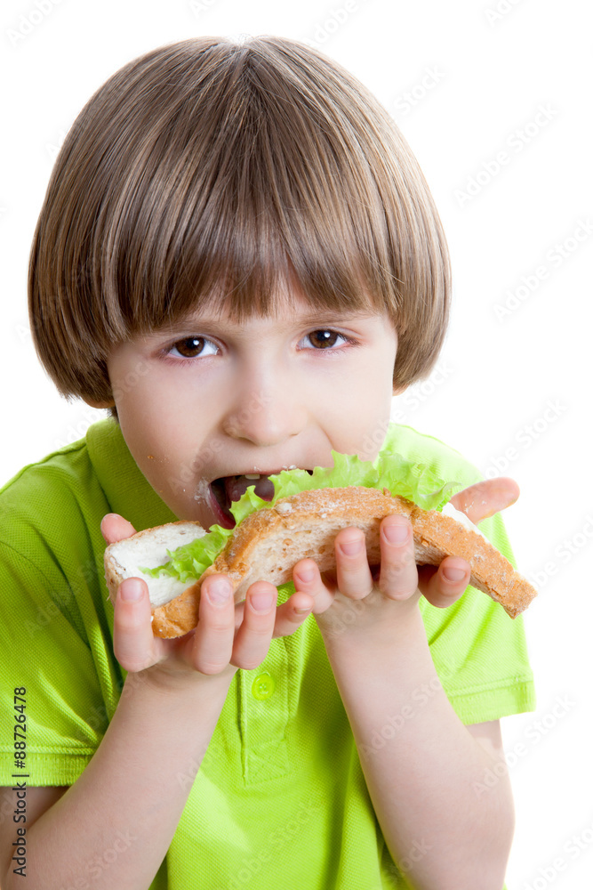 boy eats a sandwich with cheese and green salad boy eats a sandwich with cheese and green salad