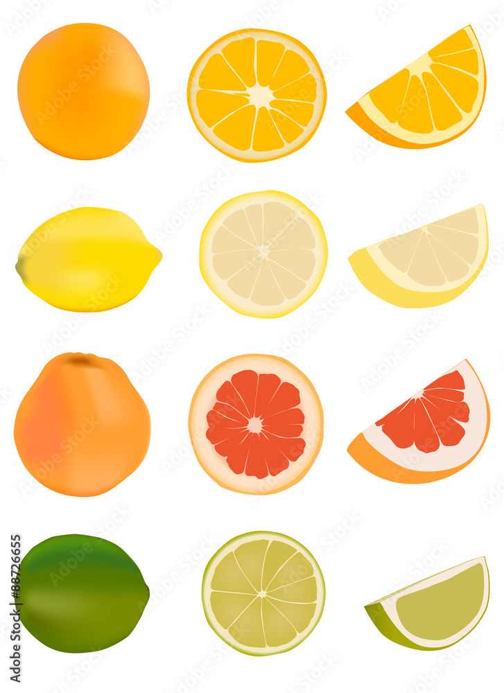 Citrus fruits - orange, lemon, grapefruit, lime