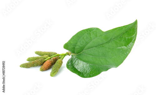 Long pepper isolated on the white background