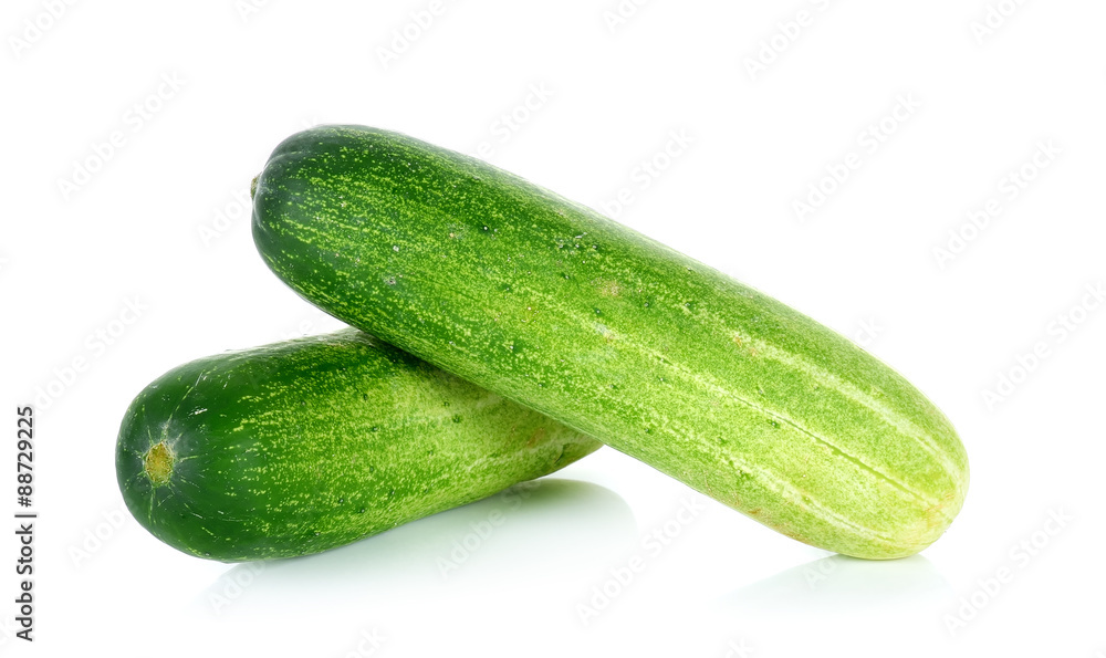 fresh cucumber isolated on the white background fresh cucumber isolated on the white background