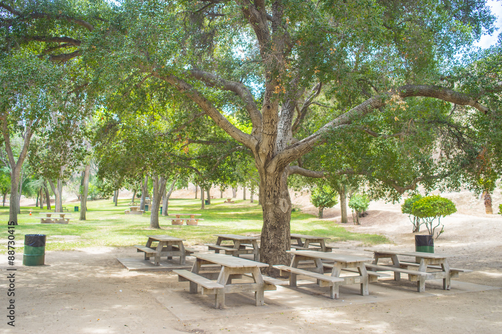 Picnic Table and Park