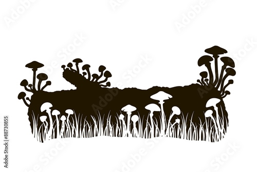 silhouette of black and white mushrooms on a log in the grass