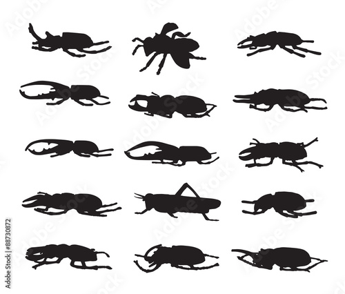 Vector group of insects on white background. © yod67
