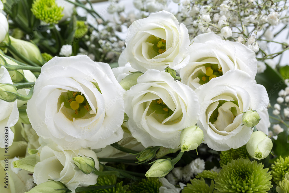 Obraz premium Close up of white roses
