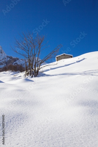 Snow and mountain