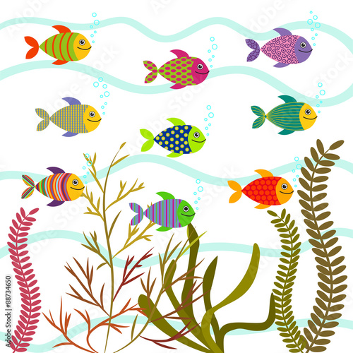 Colorful sea fishes. Underwater nature vector.