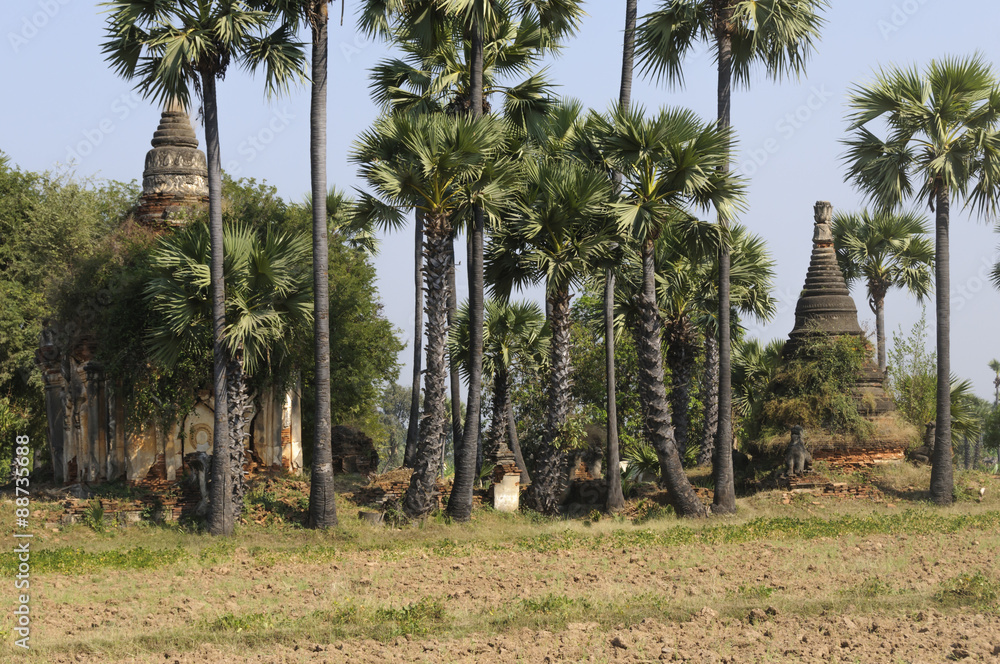 Fototapeta premium Alte Stupas