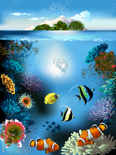 The underwater world with fish and plants 