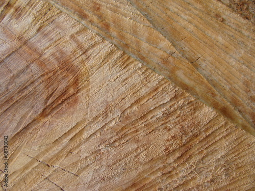 Holz Textur sägerau