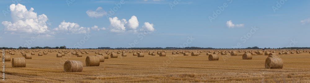 Wide hay bales in a lincolnshire field