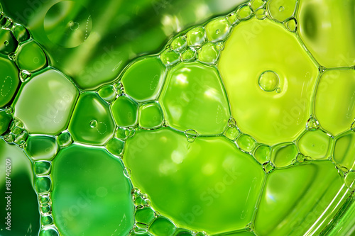 Abstract background, green oil droplets on water surface