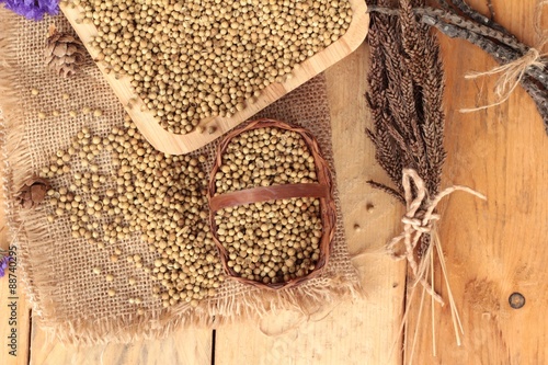 Dry coriander seeds