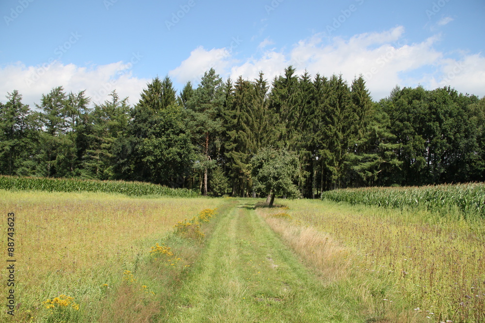 Obraz premium Ländliche Idylle