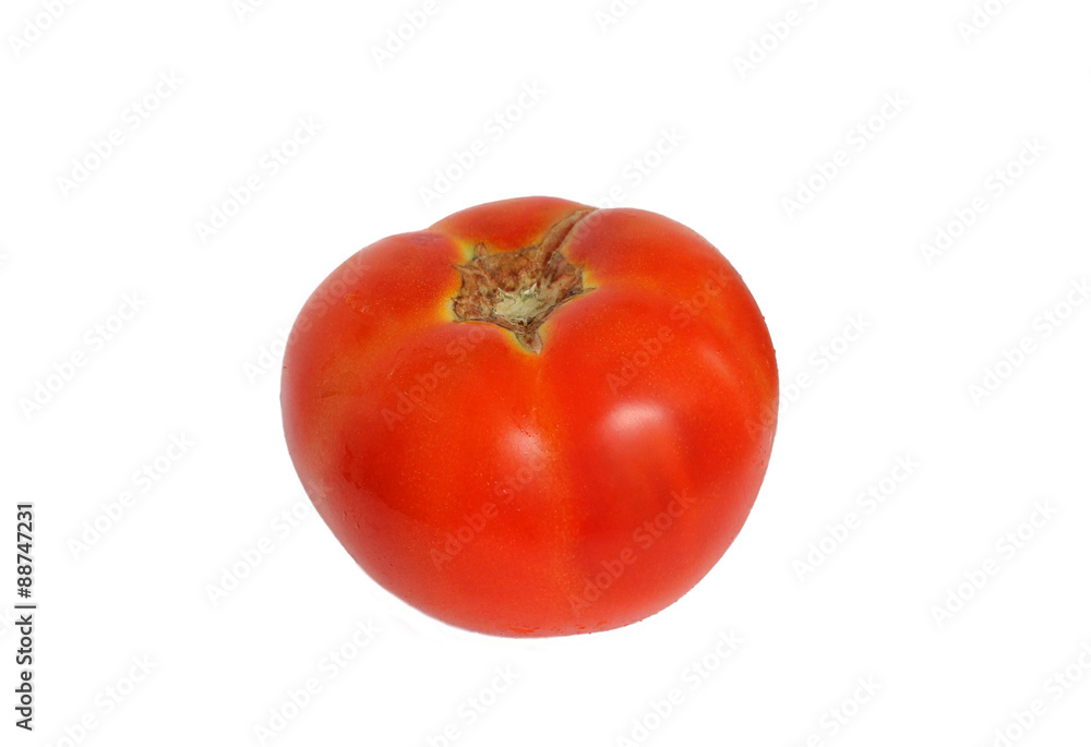 Tomato on white background Tomato on white background