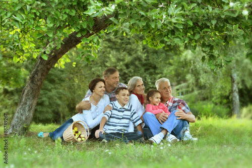 Family resting in summer park