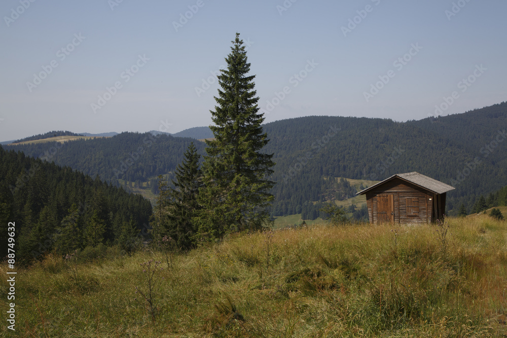 Schwarzwald Schwarzwald