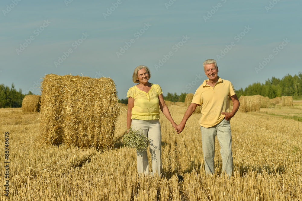 Senior couple in field Senior couple in field