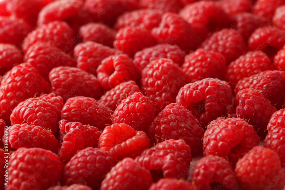 Red raspberry background, close up Red raspberry background, close up