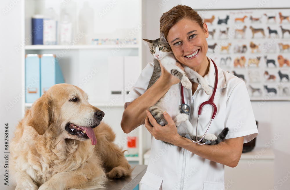 Foto Stock Veterinary clinic Adobe Stock