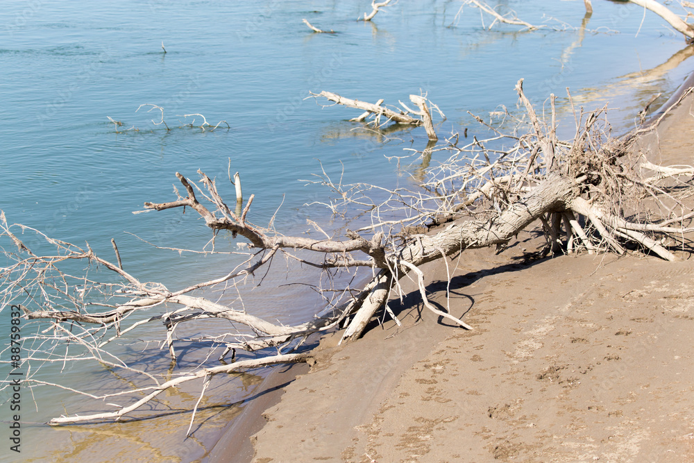 Syrdarya river .Kazahstan