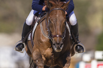 Horse rider equestrian show jumping action 