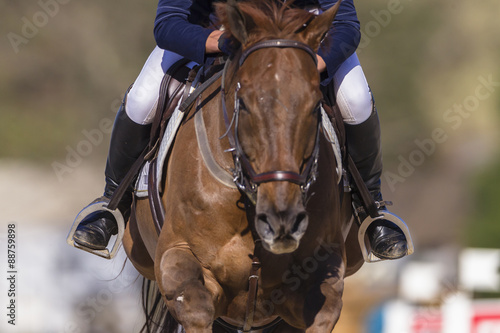 Horse rider equestrian show jumping action  © ChrisVanLennepPhoto