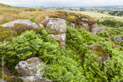 View of Shaftoe Craggs, Northumberland. England,UK.