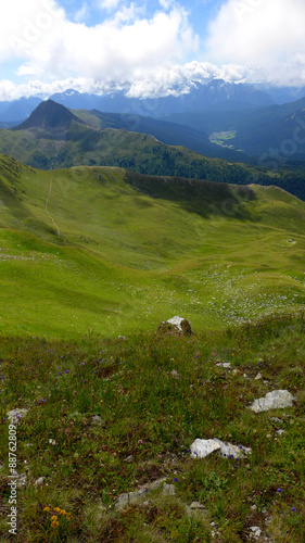 karnischer Höhenweg - saftige Wiese photo