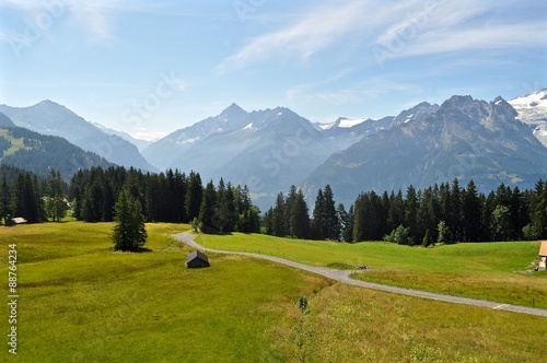 Weg durch Alpenwiese im Berner Oberland 