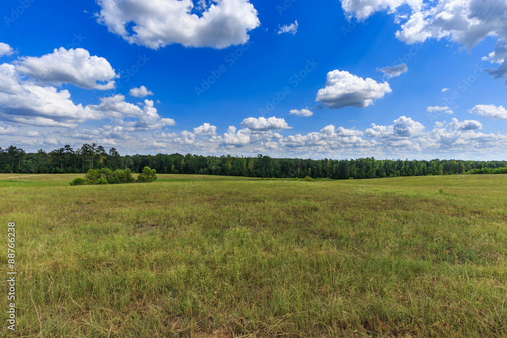 pasture with clouds forest backdrop 2