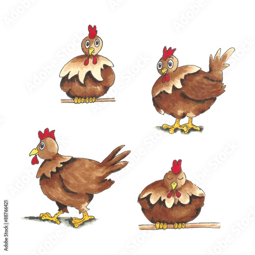 chicken - basic