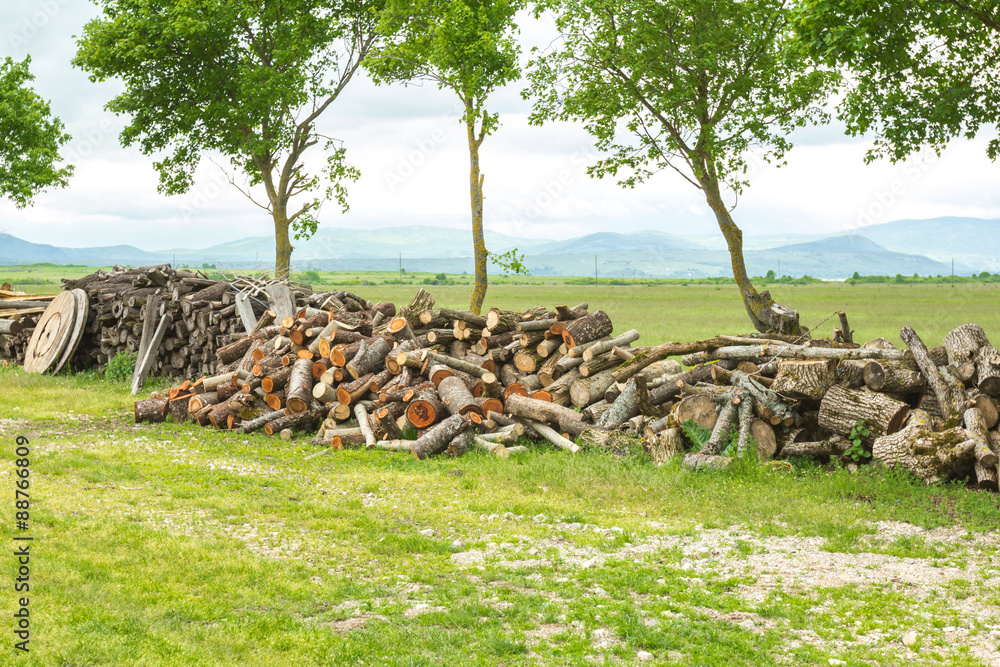 A pile of logs on the ground of Croatian farm