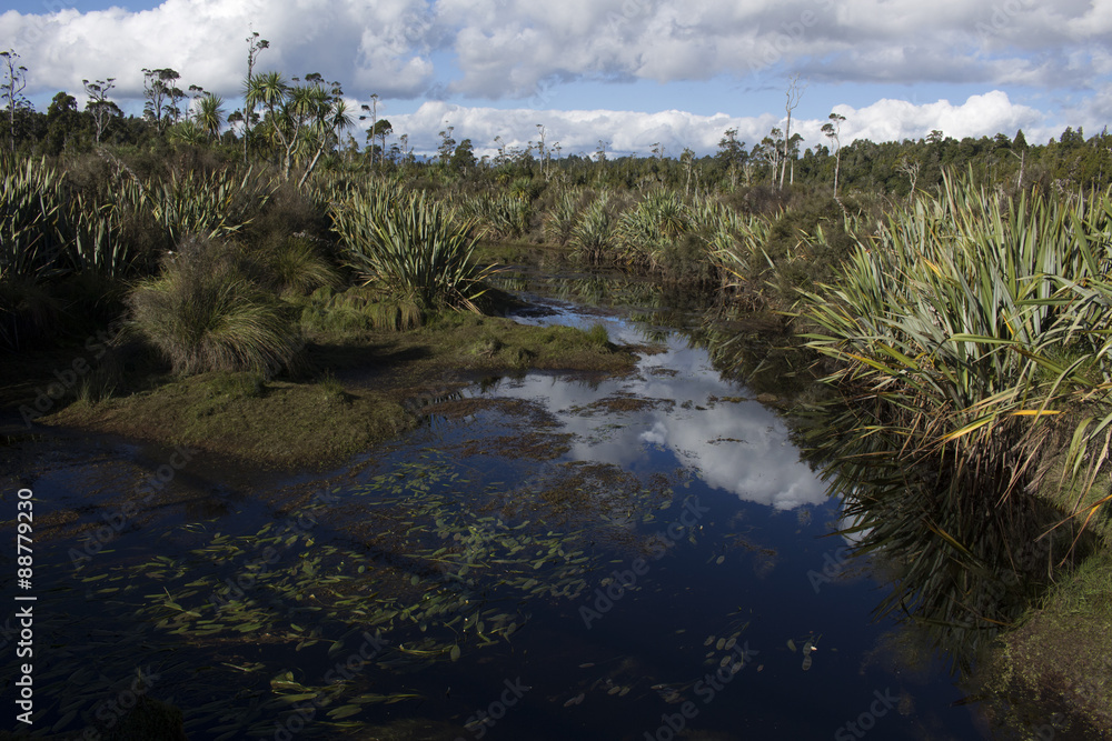 Fototapeta premium pantano cerca de Hokitika