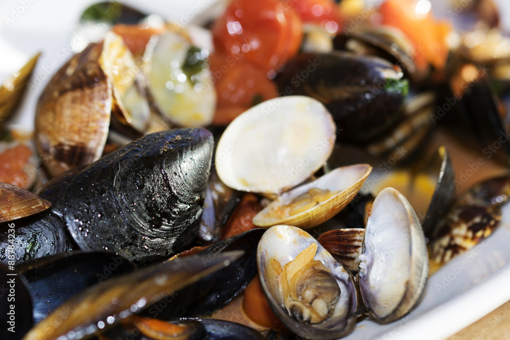 sauce for pasta allo scoglio sauce for pasta allo scoglio