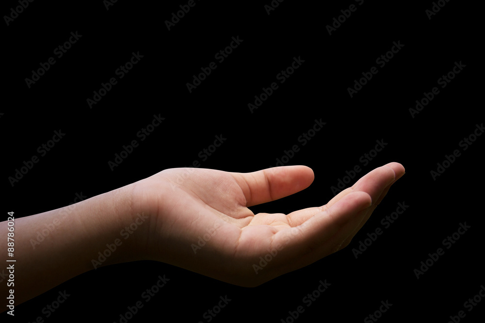 Women empty hands, palms Women empty hands, palms