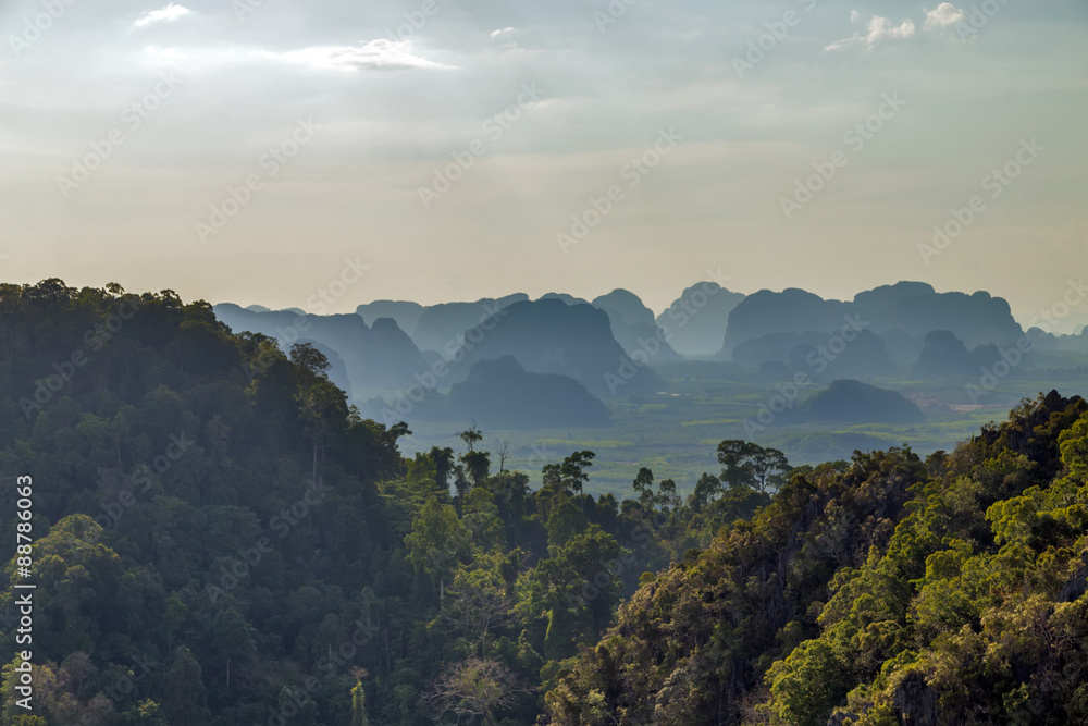 landscape tropical