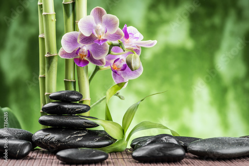 spa concept with zen basalt stones bamboo and orchid