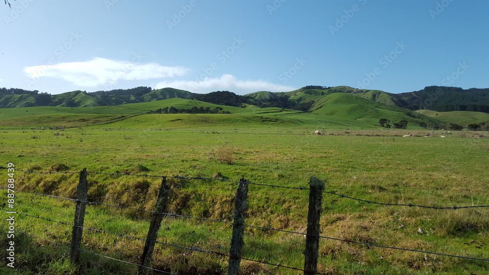 Obraz premium The magnificent landscape of New Zealand, Kawakawa bay