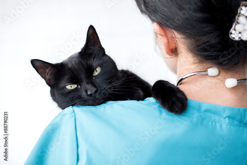 Fototapeta Naklejka Na Ścianę i Meble -  Vet holding cat