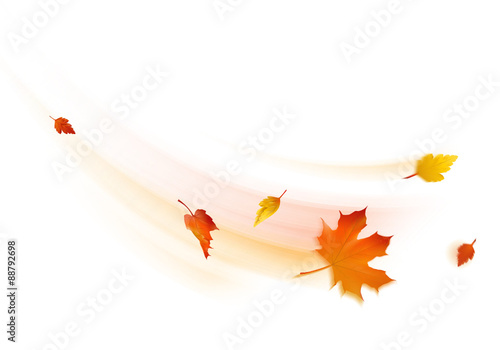 Fliegende Herbstblätter