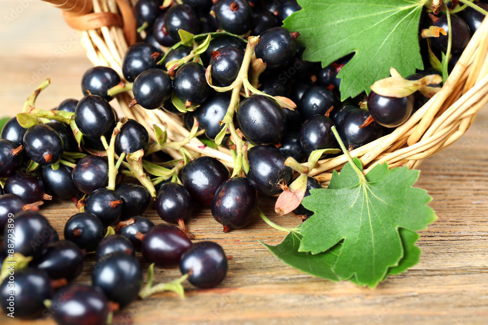 Fresh black currants in wicker basket on wooden table, closeup Fresh black currants in wicker basket on wooden table, closeup