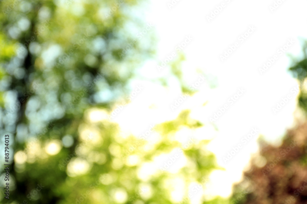 Blurred natural background Blurred natural background