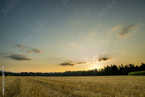 Panorama View of an Open Field During Sunset
