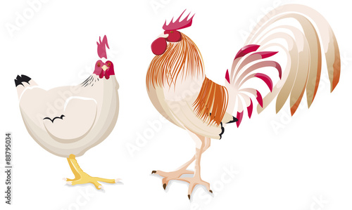 Une poule et un coq qui discute